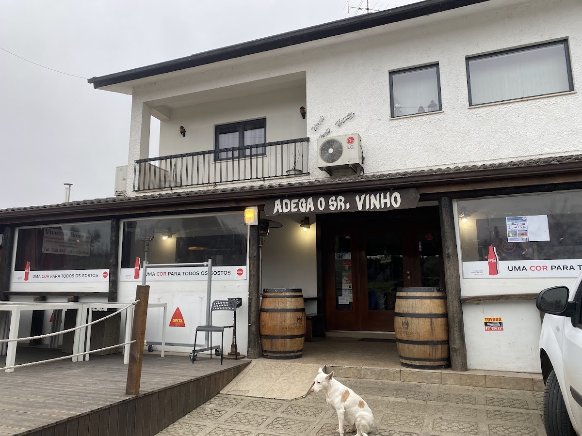 Adega O Sr Vinho