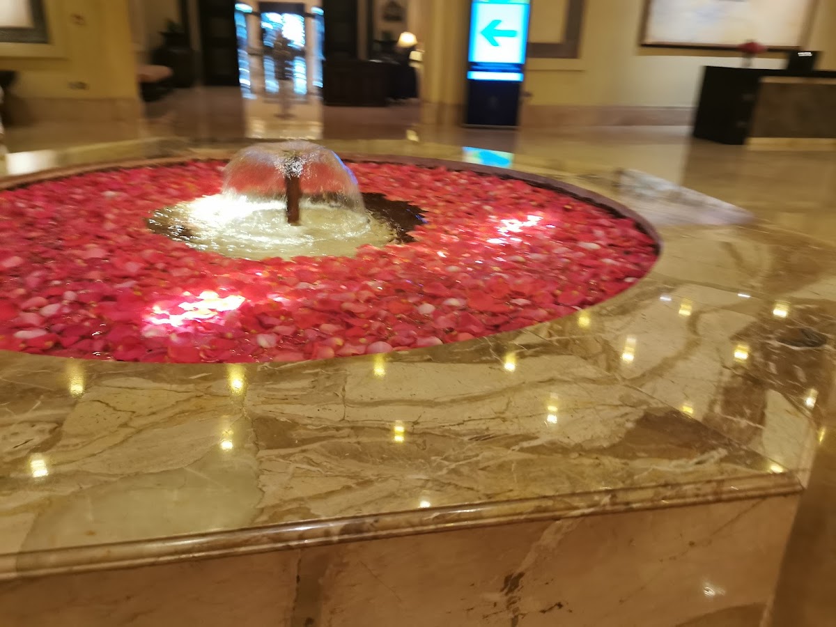 al-liwan/33888-albums-9.jpg