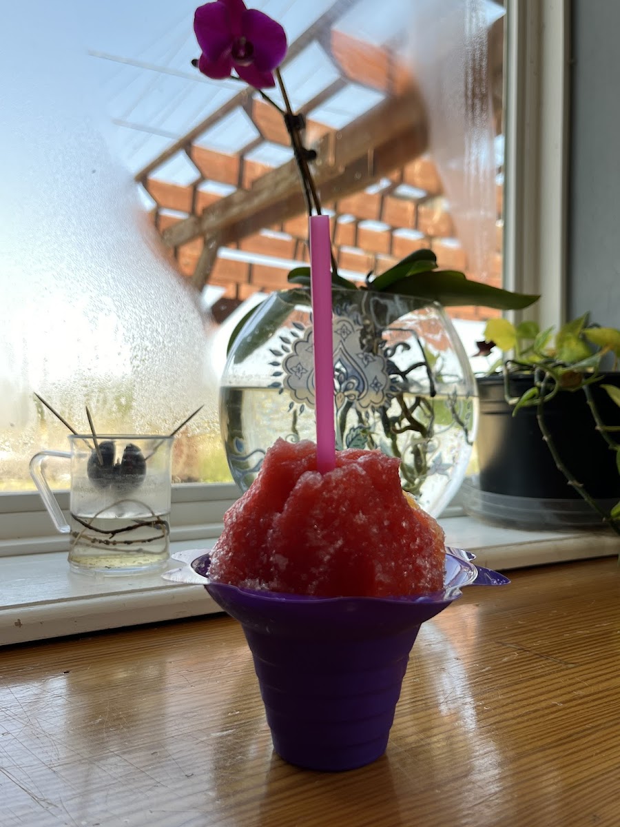 aloha-shave-ice-and-coffee-shoppe/21965-albums-5.jpg