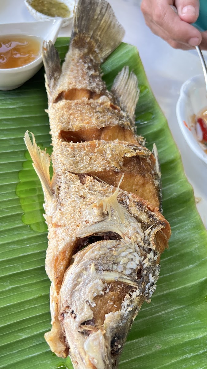 aowtakiab-seafood-hua-hin/12346-albums-7.jpg