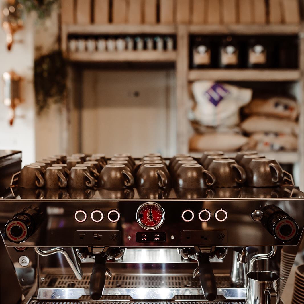 Arbuste Café Caen