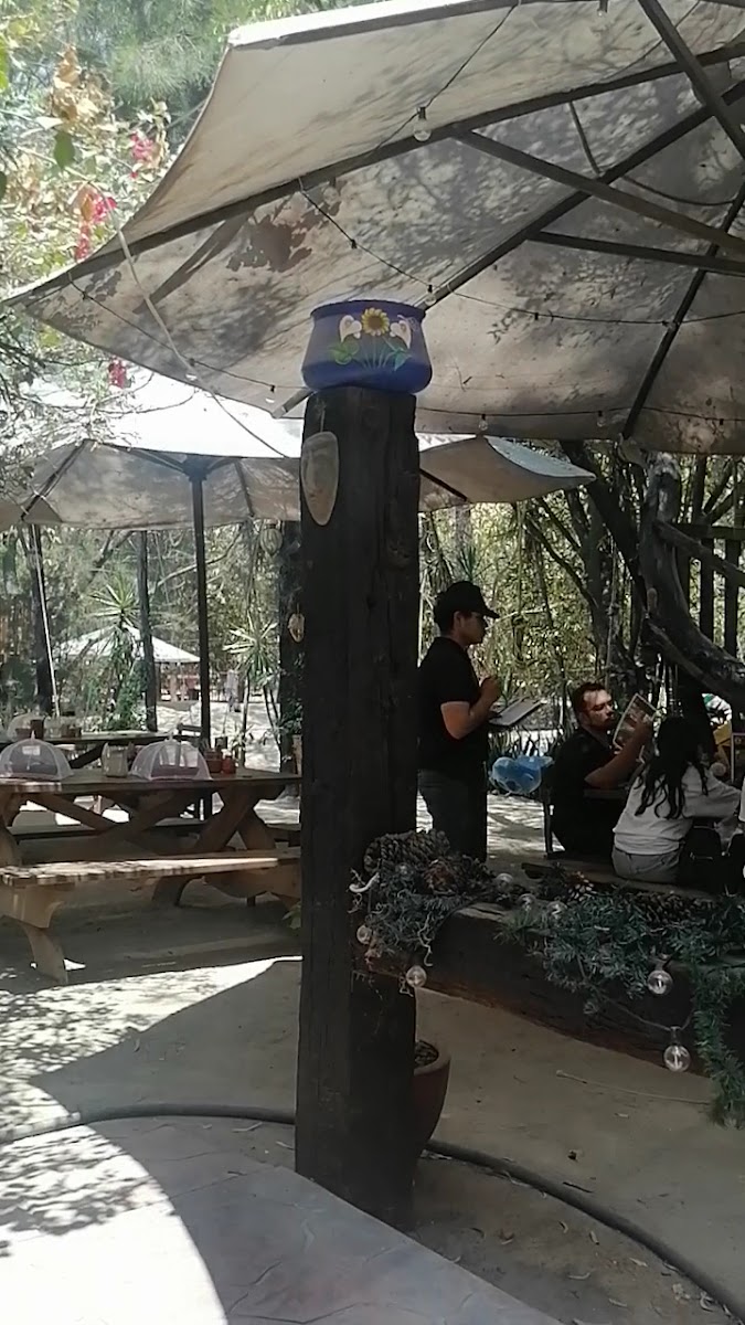 Barbacoa Mazamitla