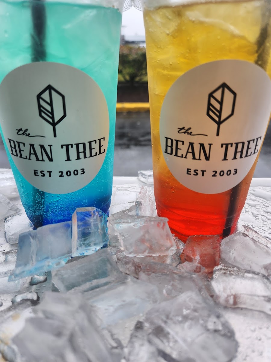 bean-tree/12398-albums-7.jpg