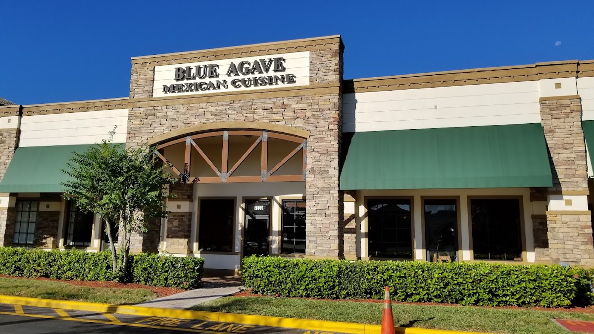 Blue Agave