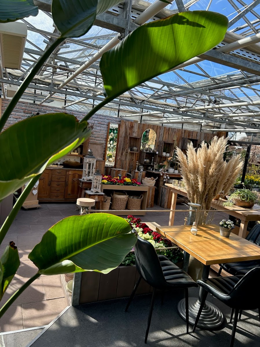 Café Gärtnerei Bechtel