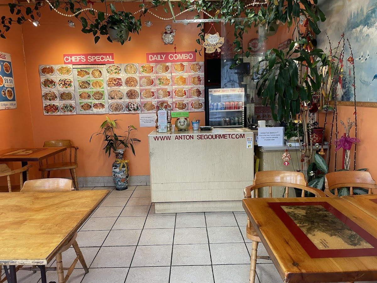 Cantonese Gourmet Chinese Food