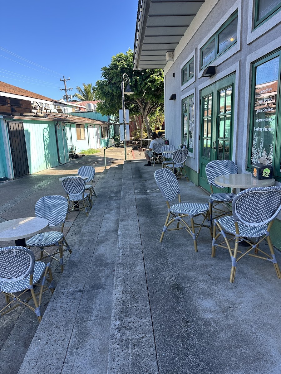 Choice Paia