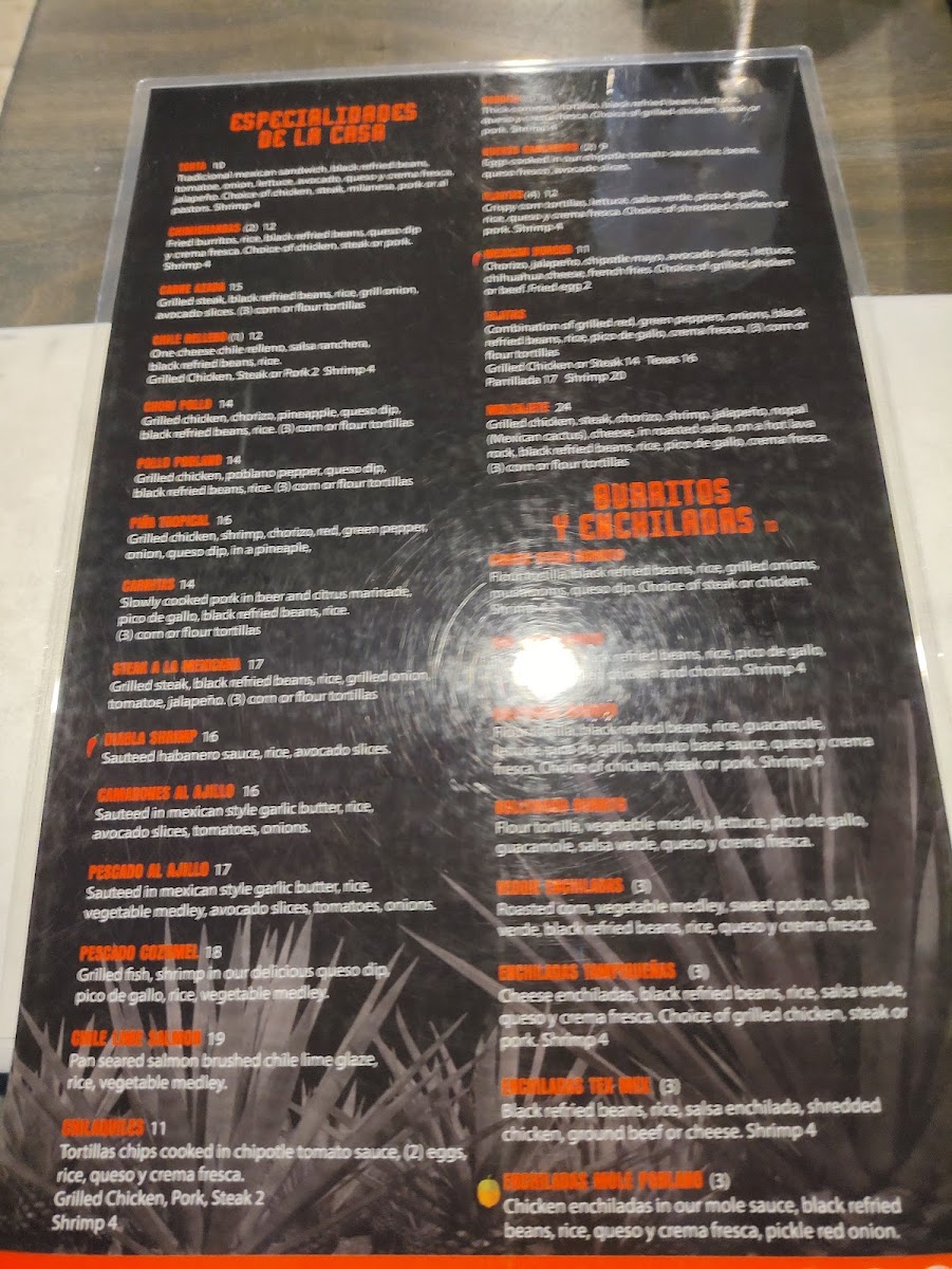 cielo-tx/21987-menus-7.jpg