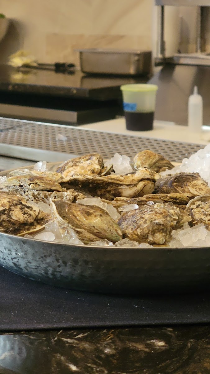 city-grille-raw-bar/22070-albums-6.jpg