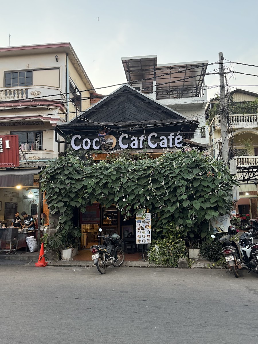 Coco Cat Café