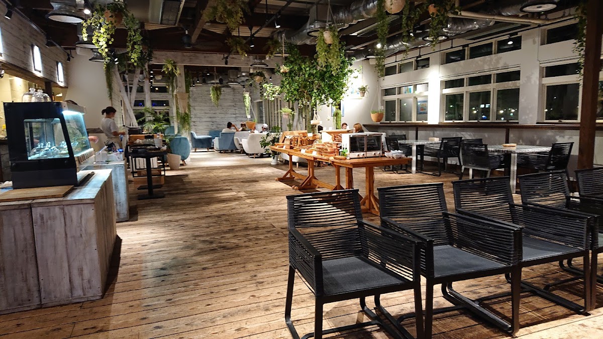Coral Kitchen At Cove