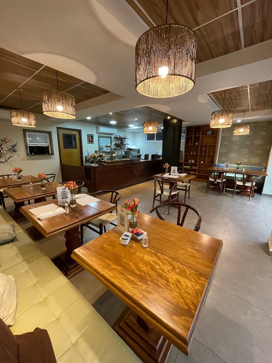 Domo Café Vegetarian Bistro