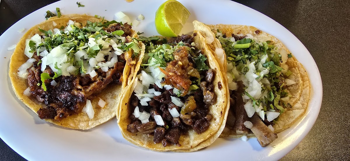 el-potrero-restaurante-y-taqueria/8263-albums-5.jpg