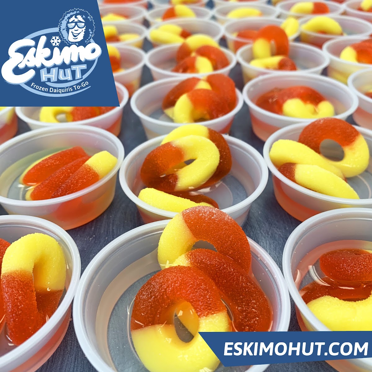 eskimo-hut-frozen-daiquiris-to-go/36088-albums-9.jpg