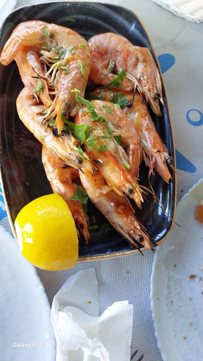 fish-grill/16756-albums-10.jpg