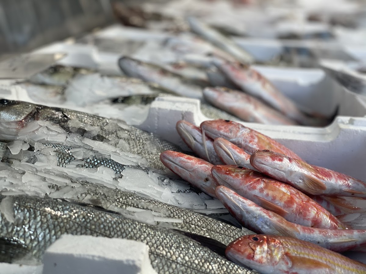fish-grill/16756-albums-3.jpg