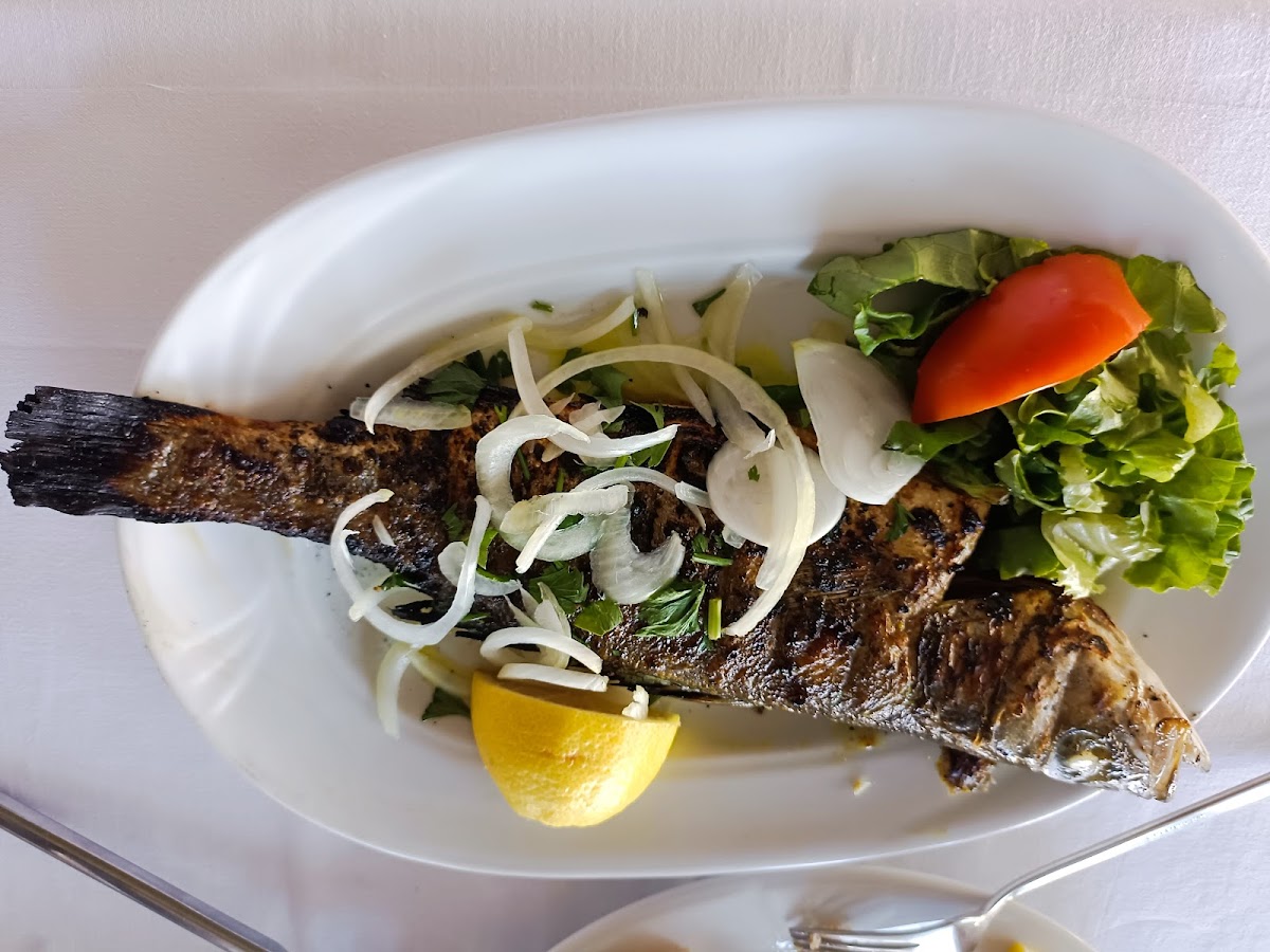 fish-grill/16756-albums-4.jpg
