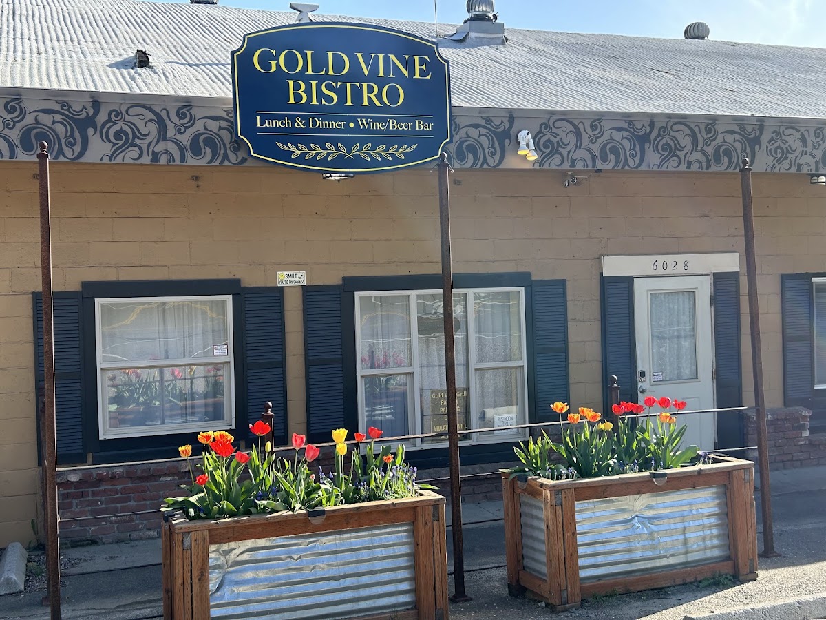 Gold Vine Bistro