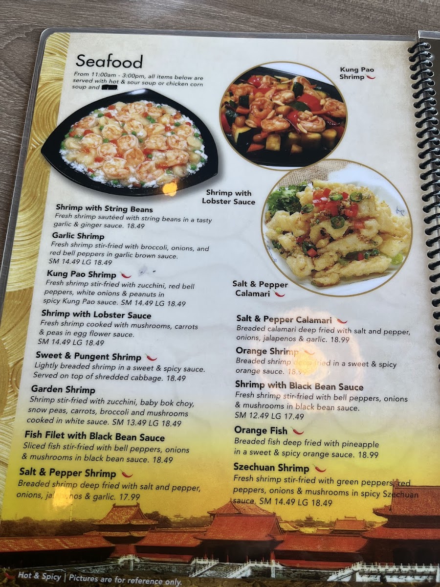 gourmet-palace-china-bistro/8144-menus-10.jpg