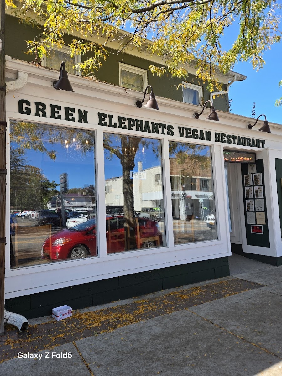 Green Elephants Thai Vegan Restaurant