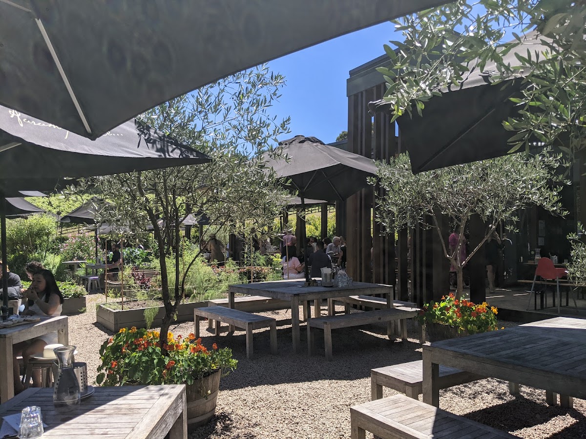 Green Olive At Red Hill