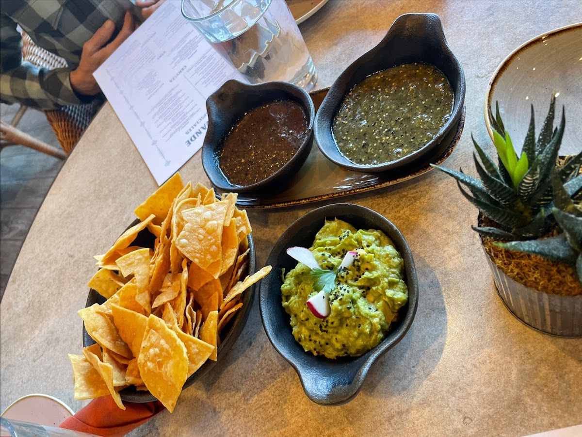 jalisco-cantina/9657-albums-7.jpg