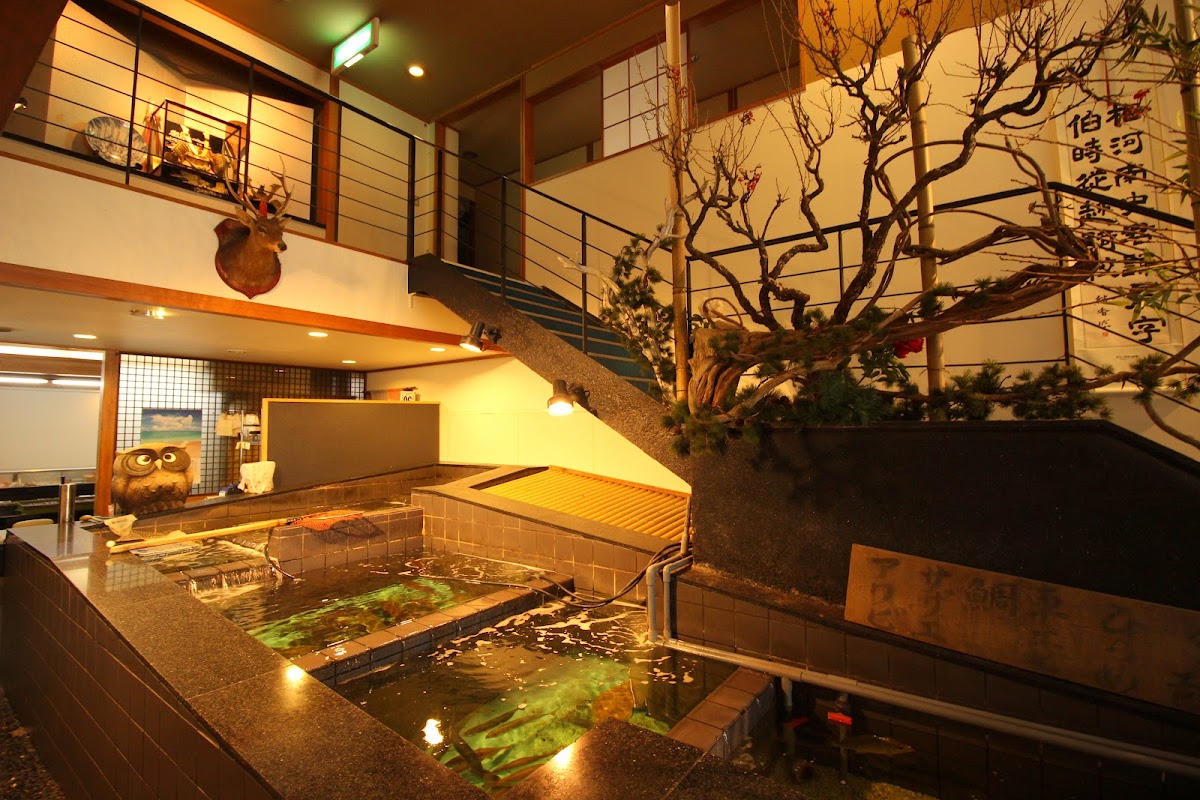 Japanese Cuisine Suzuyoshi