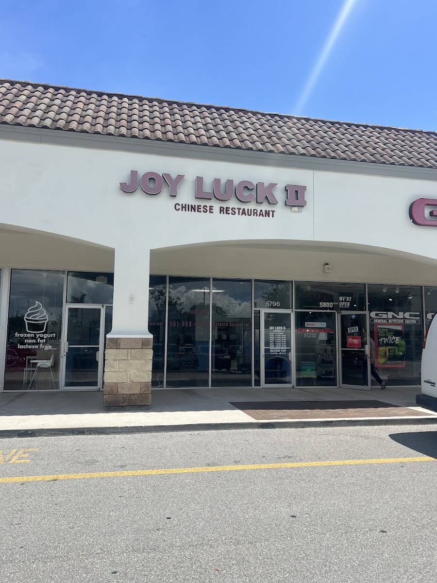 Joy Luck Ii