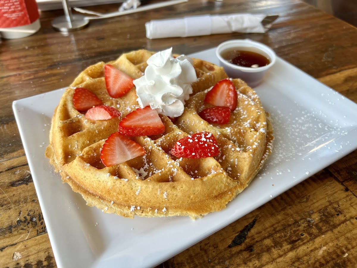 just-love-coffee-cafe-tuscaloosa/21908-albums-5.jpg