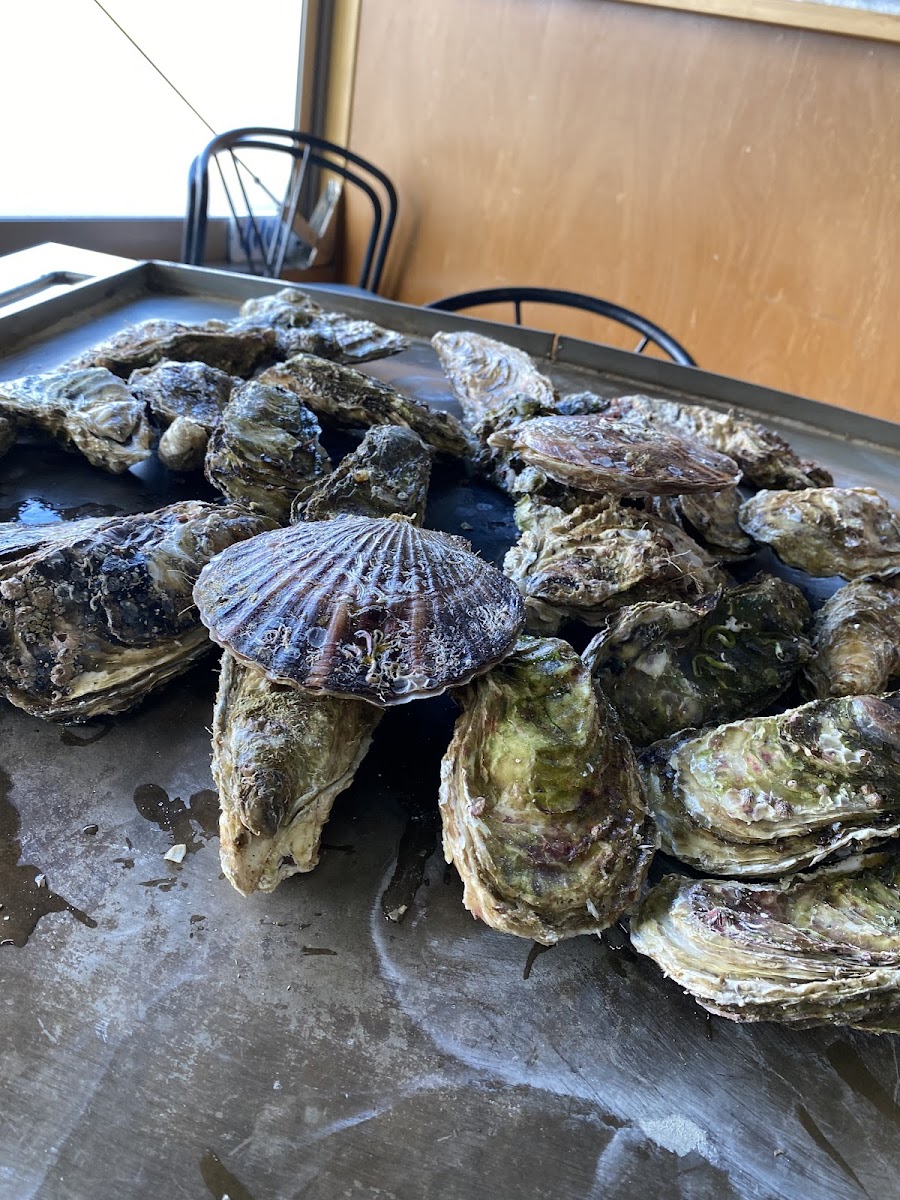 karakuwa-banya-oyster-hut/25383-albums-5.jpg