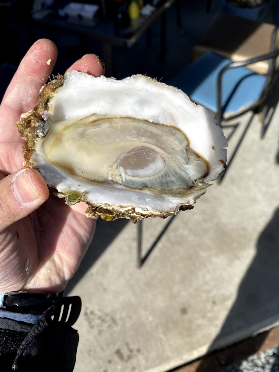 karakuwa-banya-oyster-hut/25383-albums-7.jpg