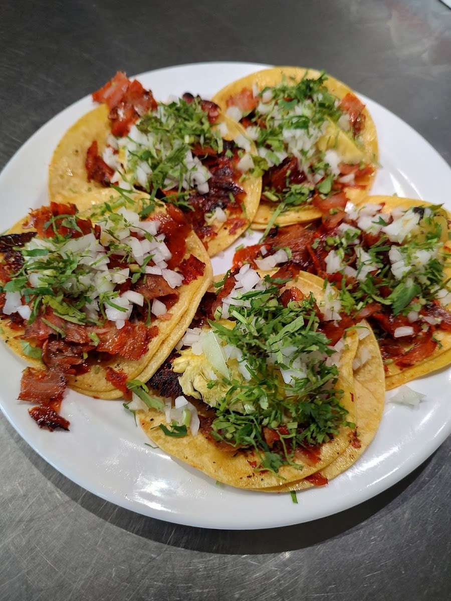 las-rosas-mexican-restaurant-pub/8150-albums-2.jpg