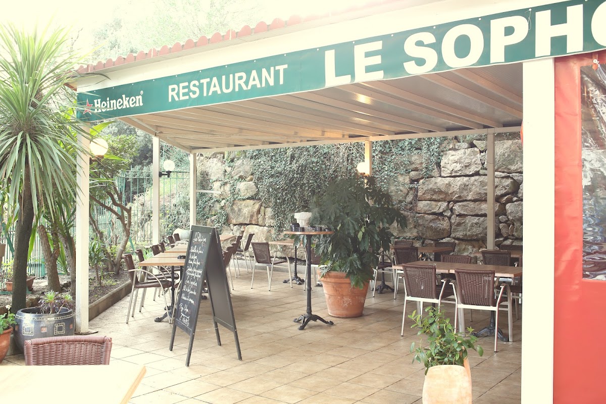 Le Sophocoole