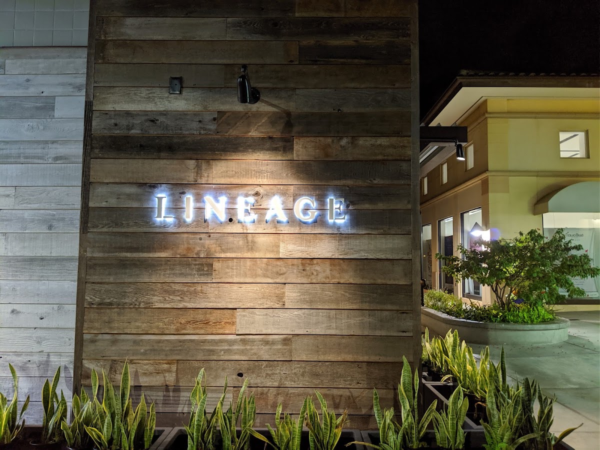 Lineage
