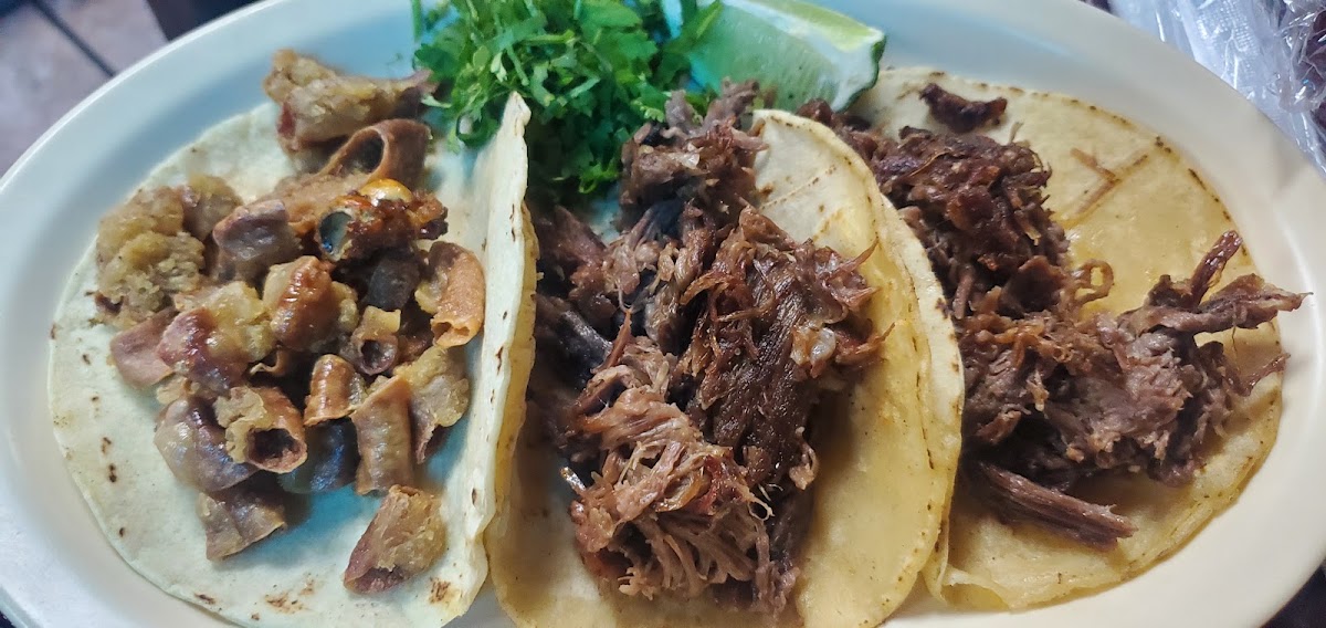 los-tres-carnales-mexican-grill/35873-albums-4.jpg