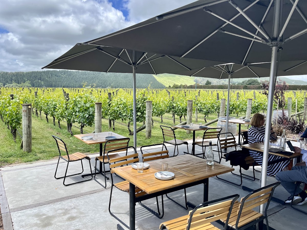 Moy Hall Vineyard