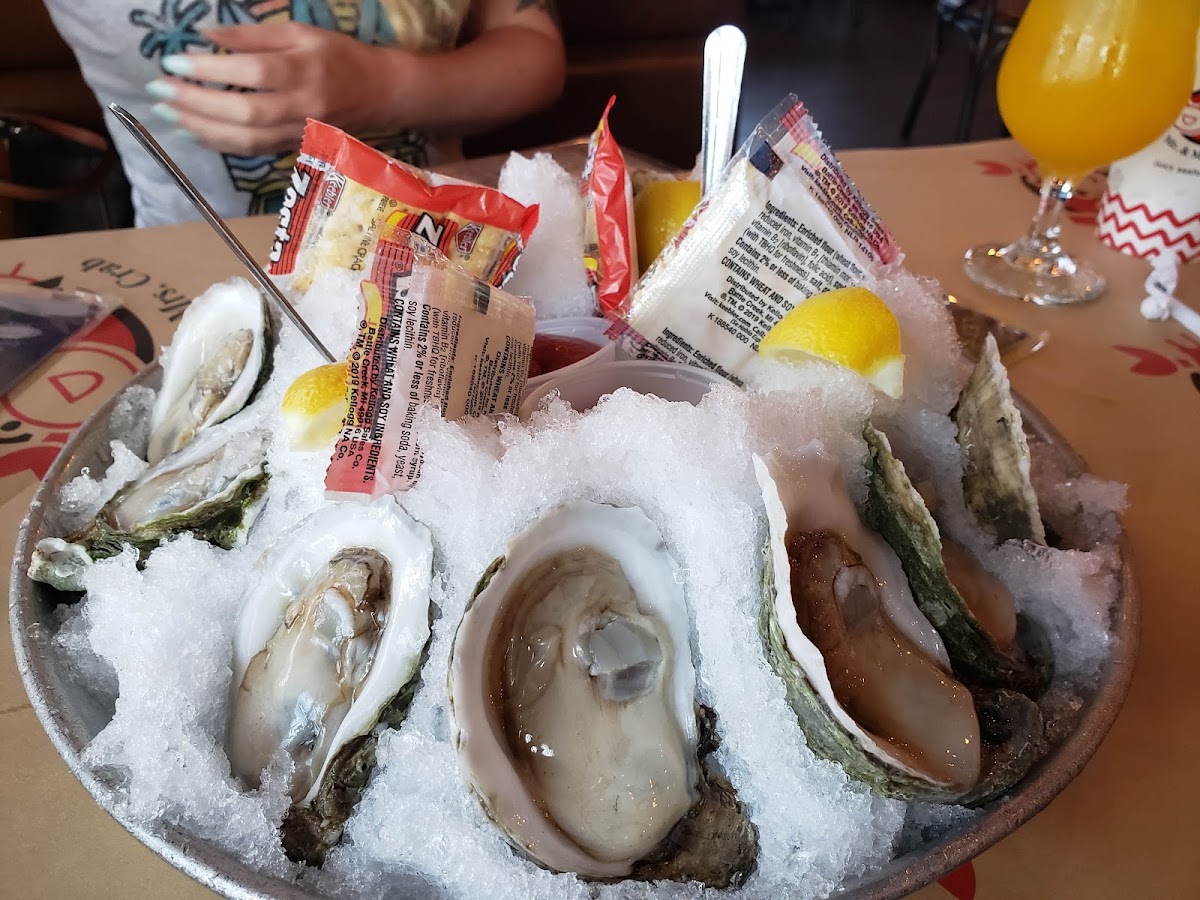 mr-mrs-crab-pinellas-park/8237-albums-10.jpg