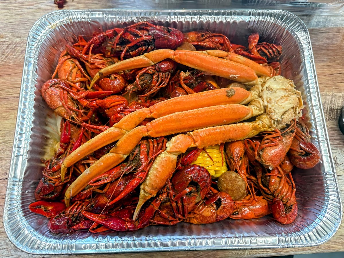 Mudd Bugs Llc