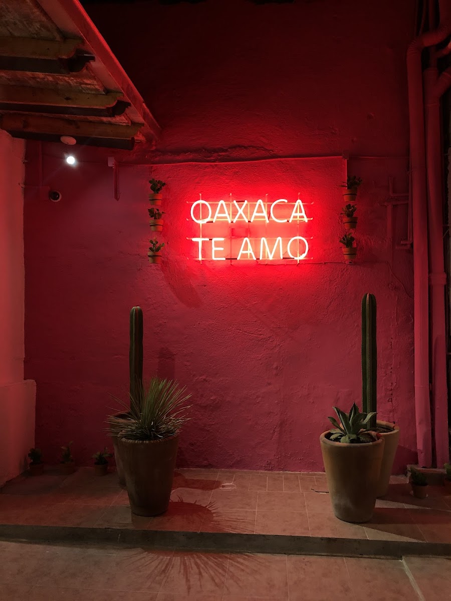 Oaxaca Te Amo