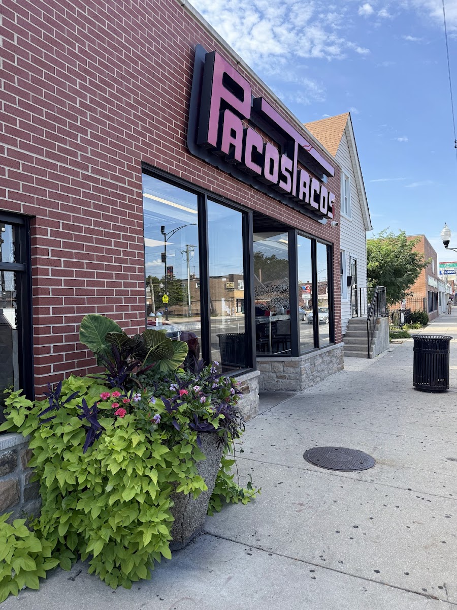 Paco's Tacos 2
