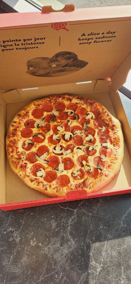 Pizza Salvatoré Qc J5Z 2J1