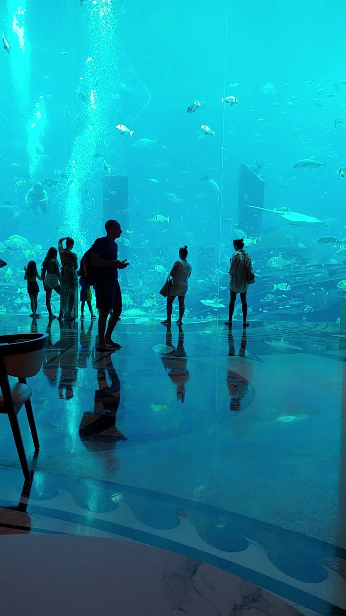 Poseidon Café
