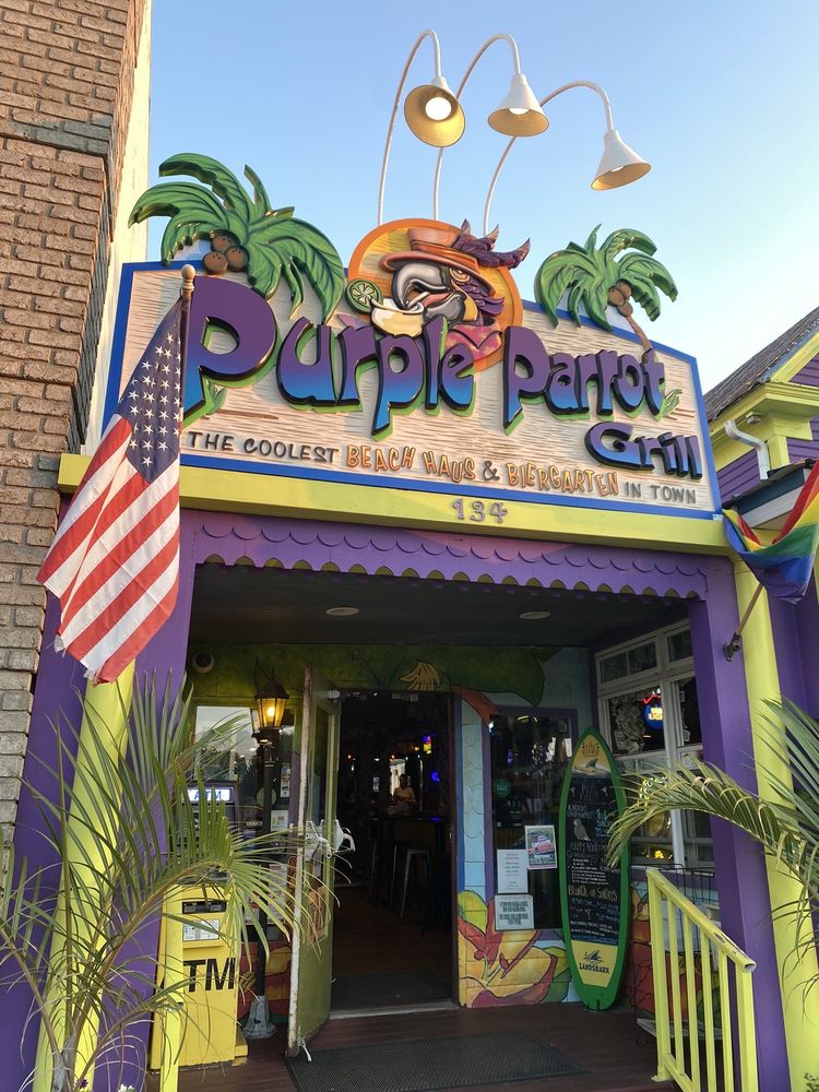 Purple Parrot