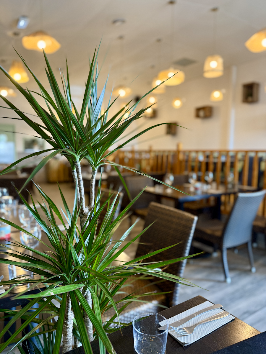 Restaurant Le Forest Le Crès Près De Montpellier