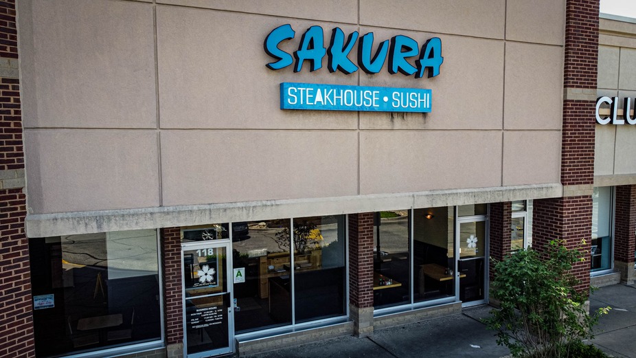 Sakura Blue