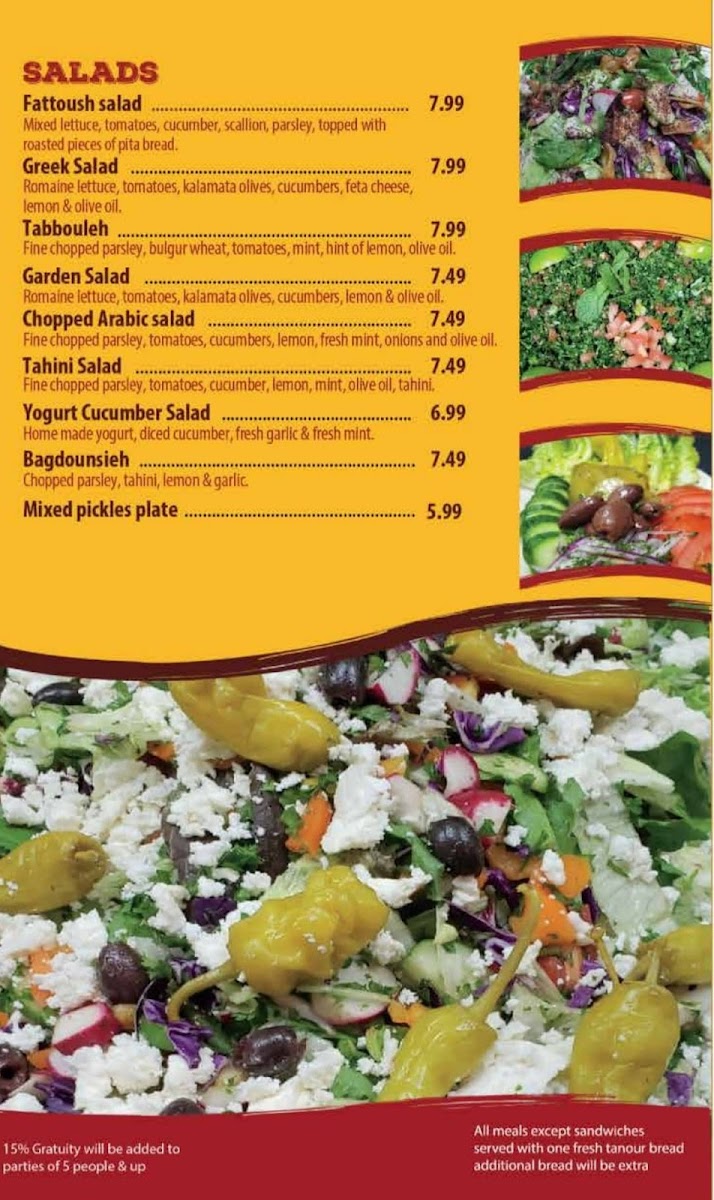 sayad-mediterranean-kitchen/12169-menus-10.jpg