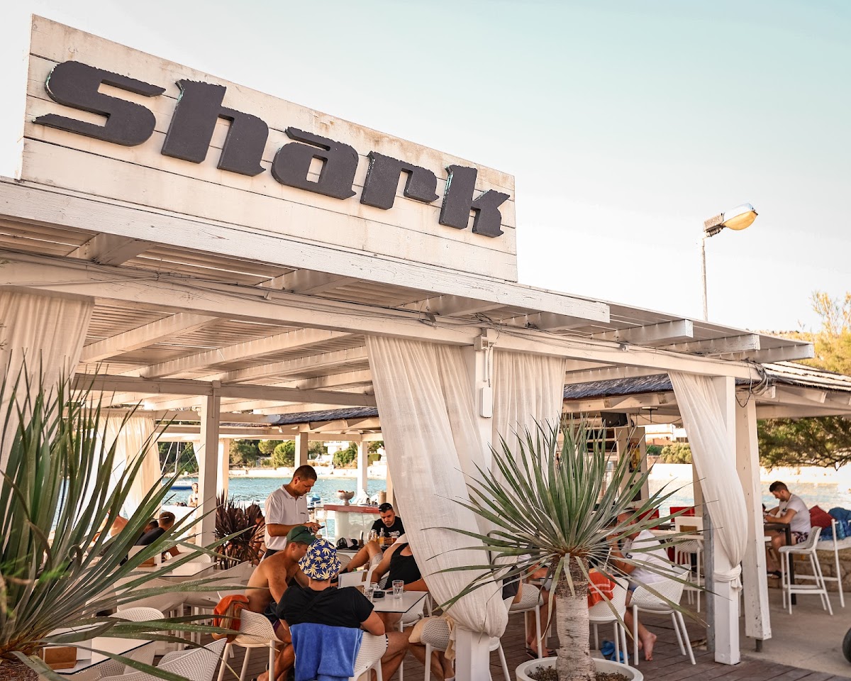 Shark