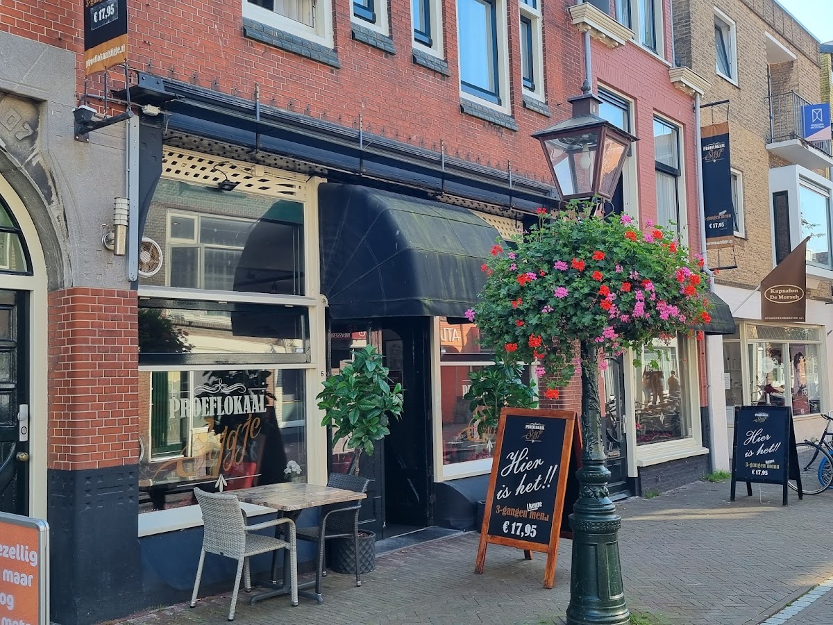 Sijgje Leiden