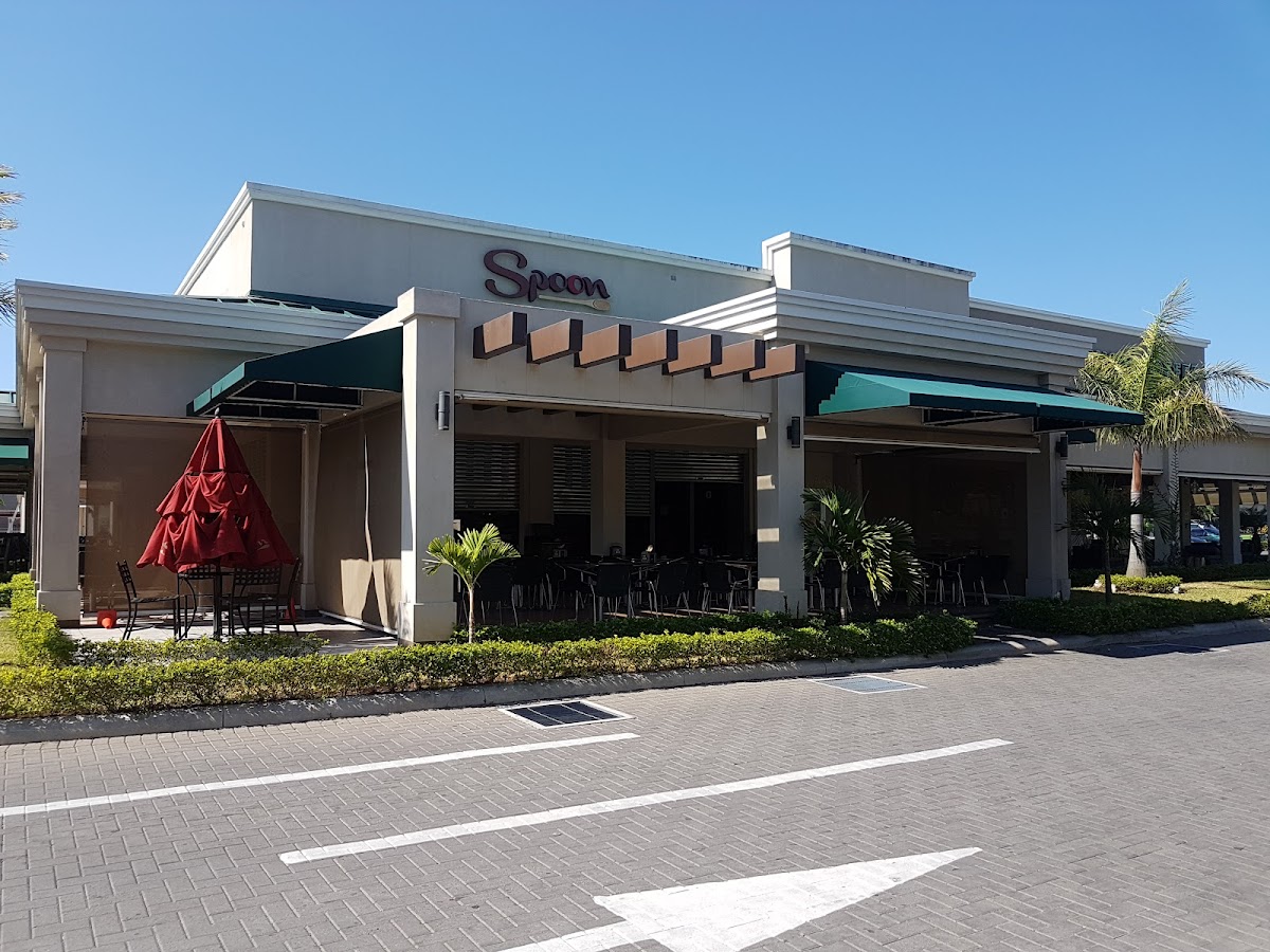 Spoon • Plaza Real