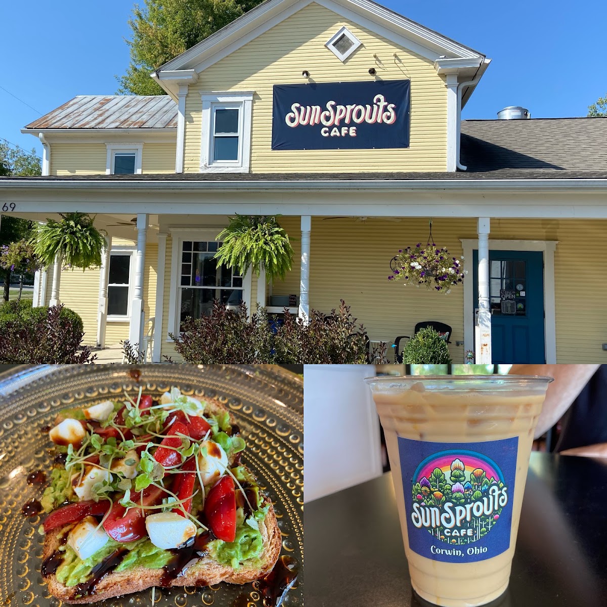 Sun Sprouts Cafe